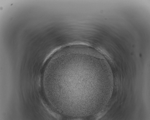 X0000083580112200702162128