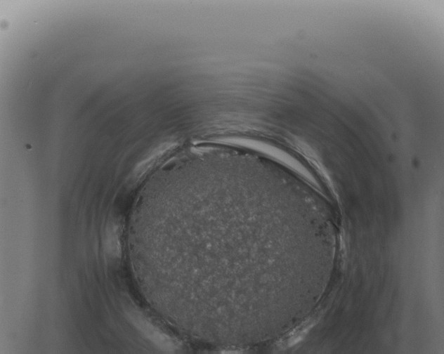 X0000083580114200702162128