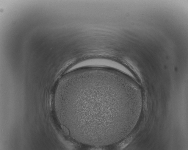 X0000083580115200702162128