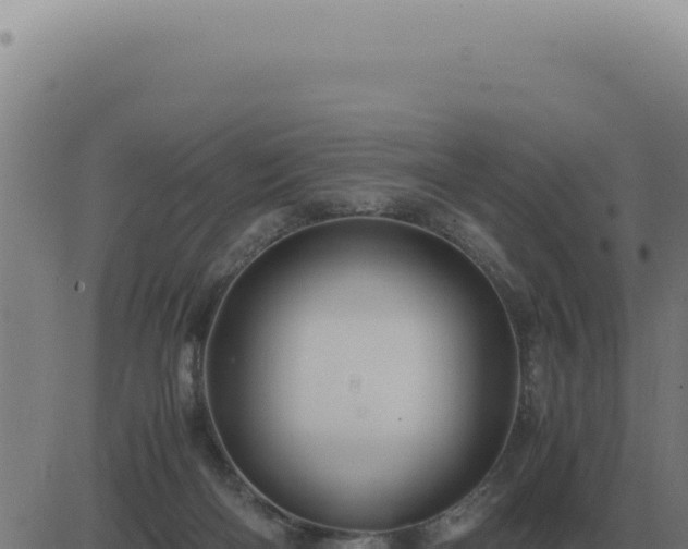 X0000083580122200702162127