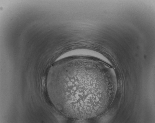 X0000083580127200702162127