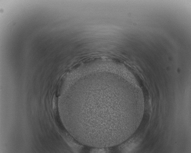 X0000083580131200702162127