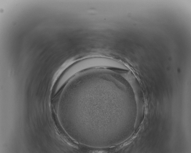 X0000083580152200702162126