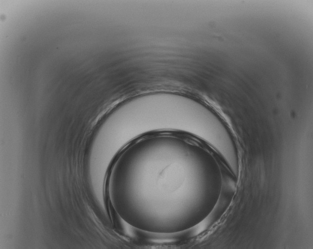 X0000083580154200702162126