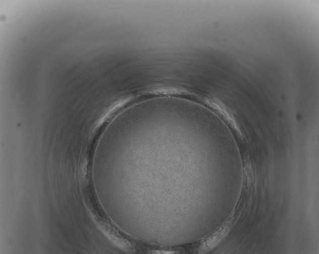 X0000083580159200702162127