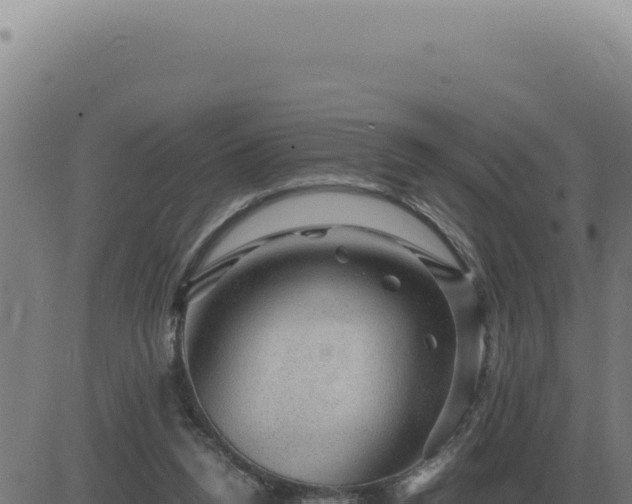 X0000083580160200702162127