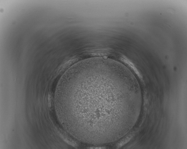 X0000083580161200702162127