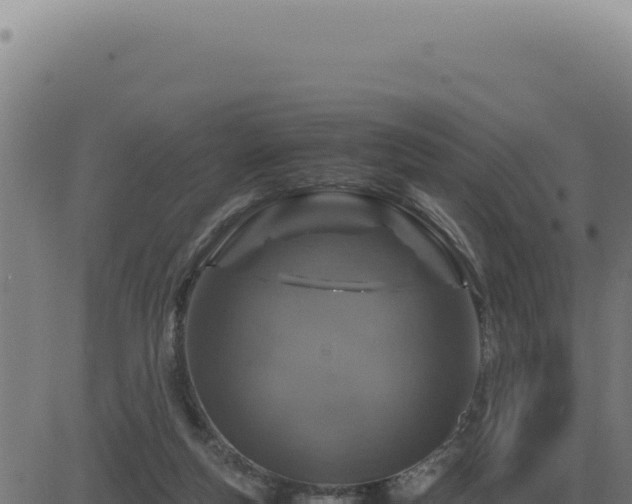 X0000083580163200702162127