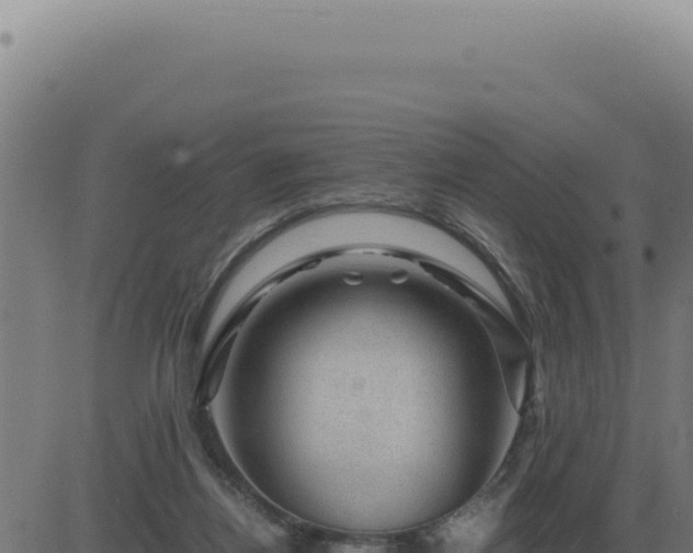 X0000083580164200702162127