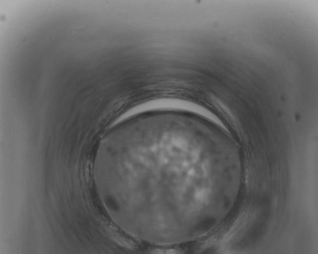 X0000083580169200702162127