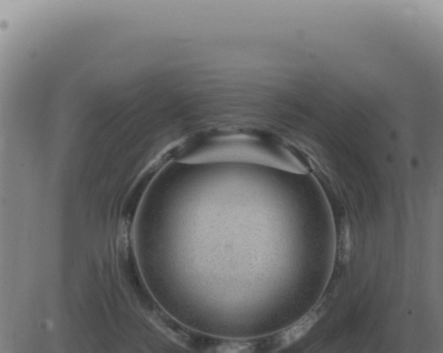 X0000083580172200702162127