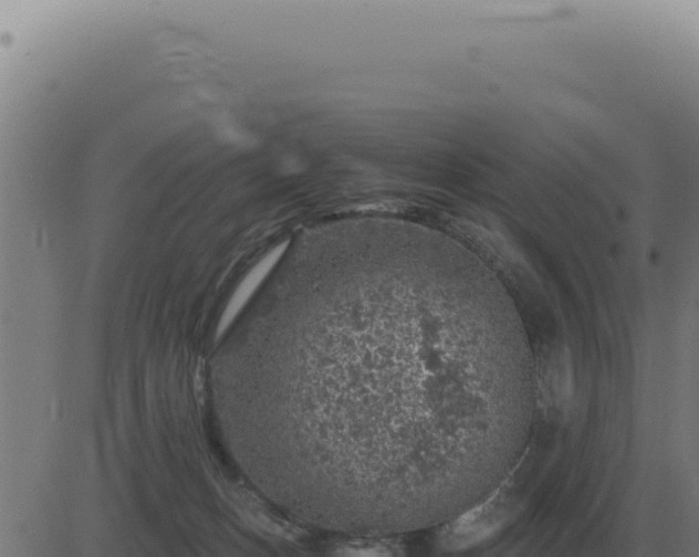 X0000083580175200702162127