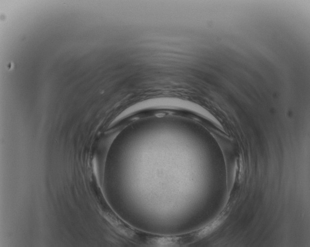 X0000083580184200702162127