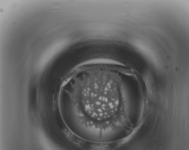 X0000083580191200702162127