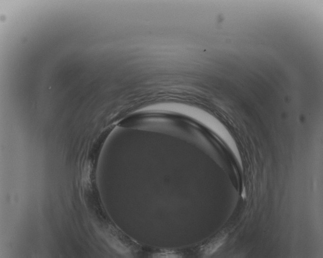 X0000083580219200702162126