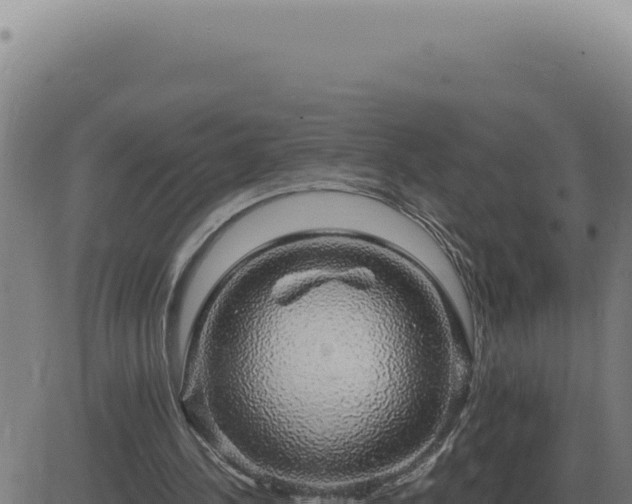 X0000083580244200702162125