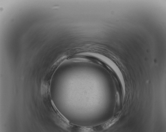 X0000083580333200702162124