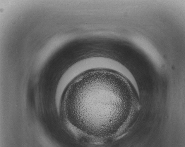 X0000083580382200702162124
