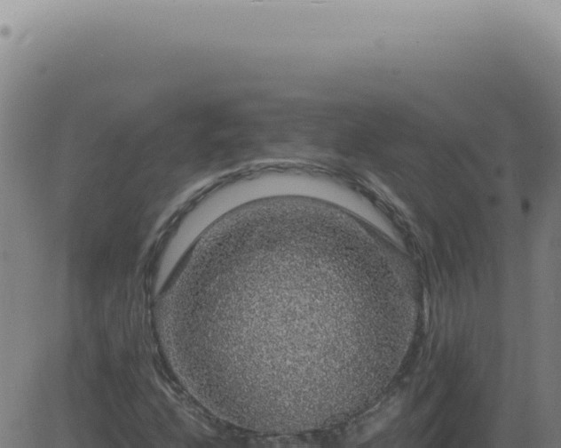 X0000083581208200702162109