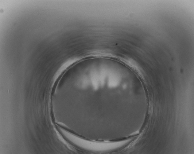 X0000083581231200702162110