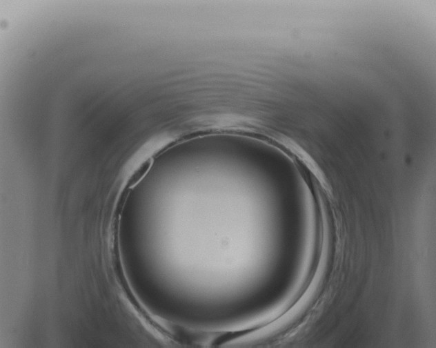 X0000083581285200702162108