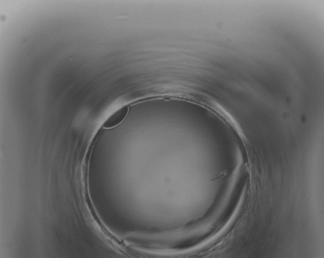 X0000083581291200702162108