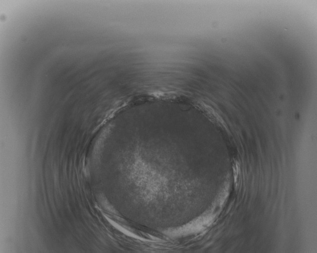 X0000083581298200702162108