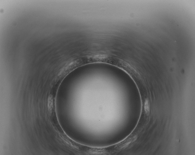 X0000083581299200702162108