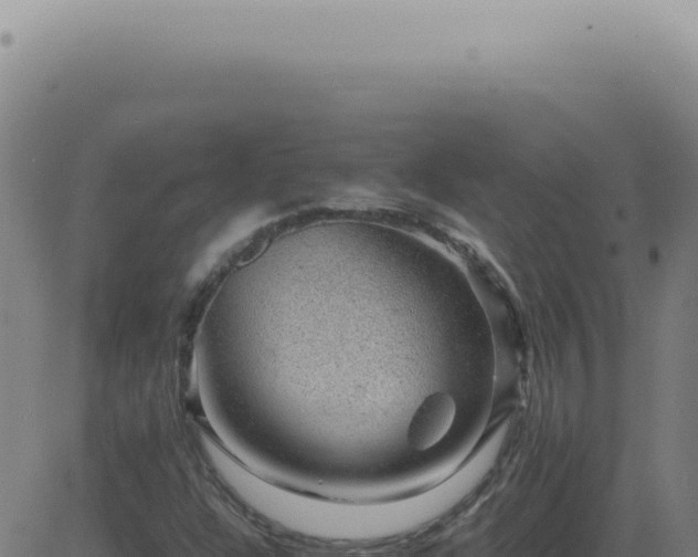 X0000083581304200702162108