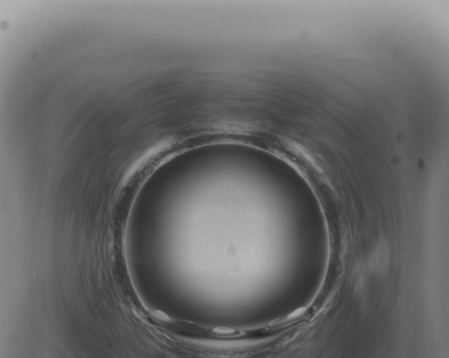 X0000083581307200702162108