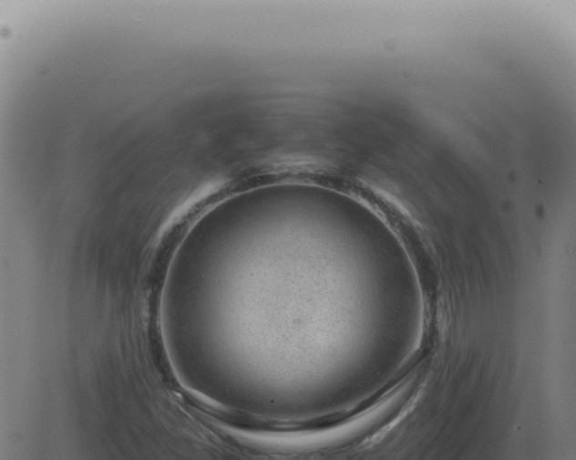 X0000083581309200702162108