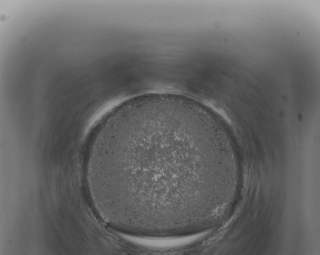 X0000083581311200702162108