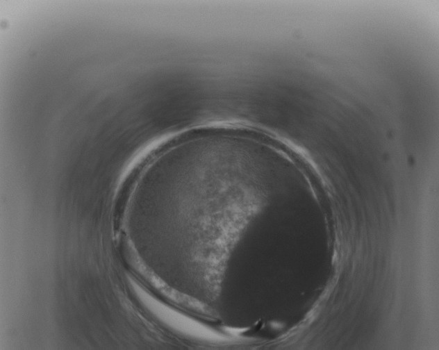 X0000083581319200702162108