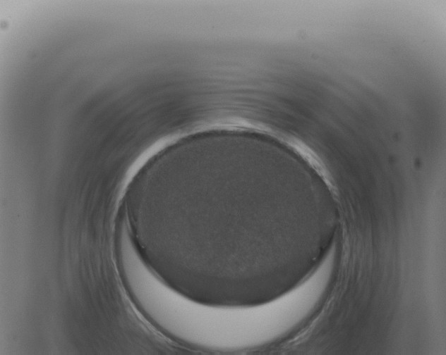 X0000083581326200702162108