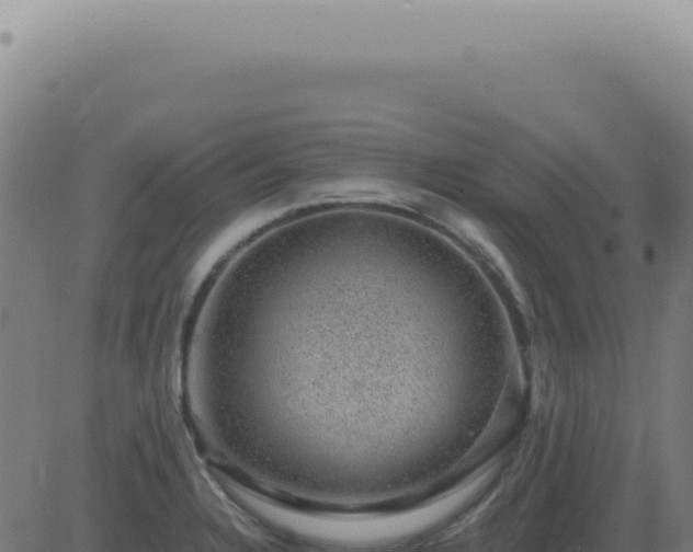 X0000083581328200702162108