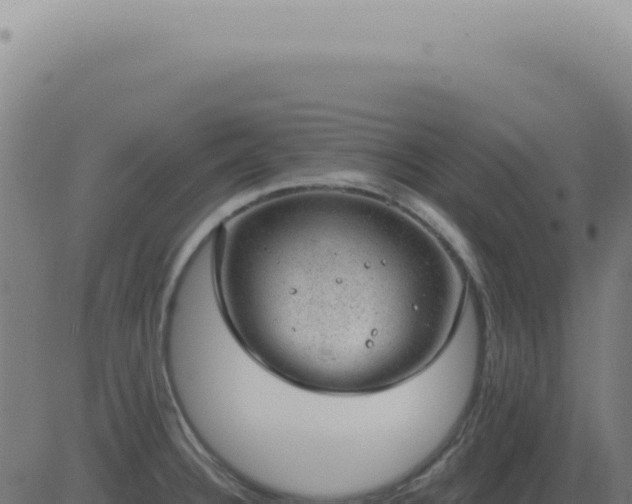 X0000083581332200702162108