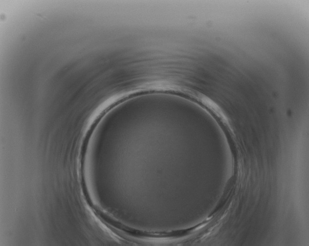 X0000083581334200702162108