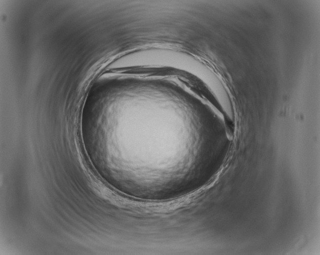 X0000083580001200702231707