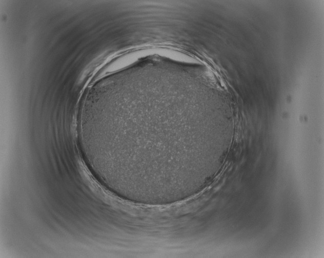 X0000083580002200702231707