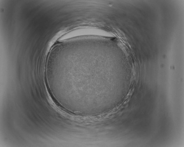 X0000083580003200702231707