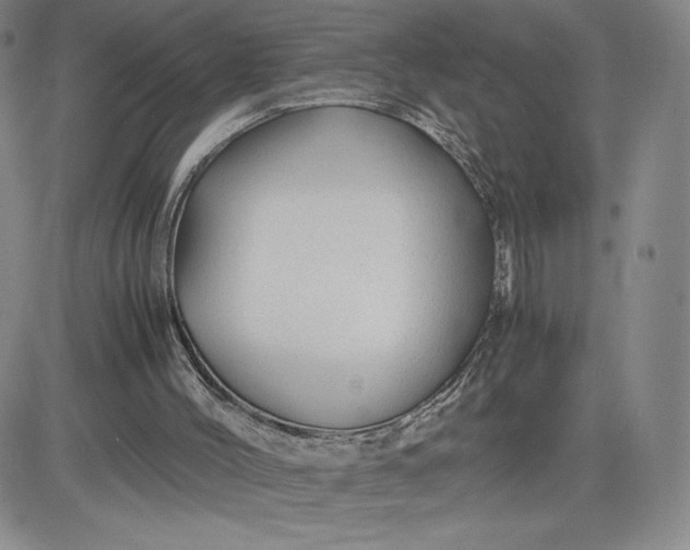 X0000083580004200702231707