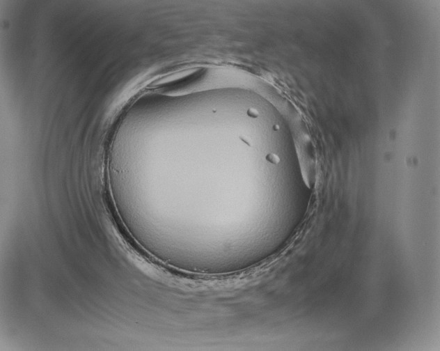 X0000083580005200702231707