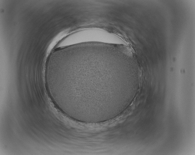 X0000083580006200702231707