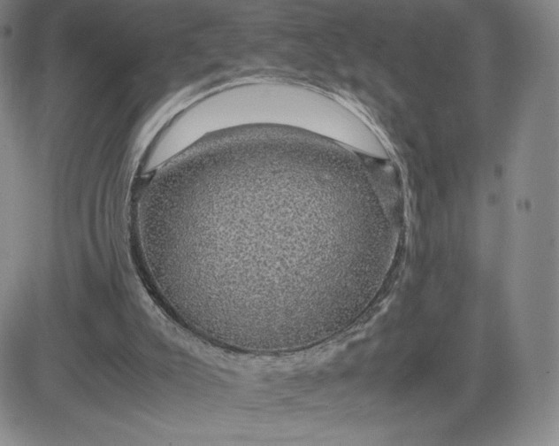 X0000083580007200702231707