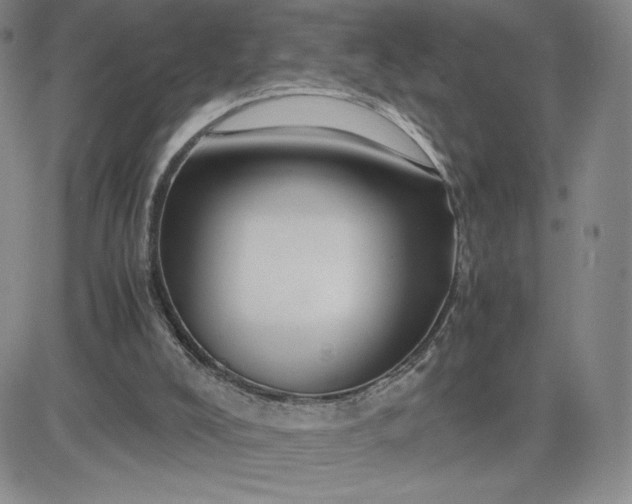 X0000083580008200702231707