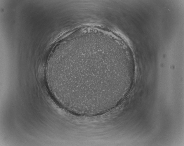 X0000083580009200702231707