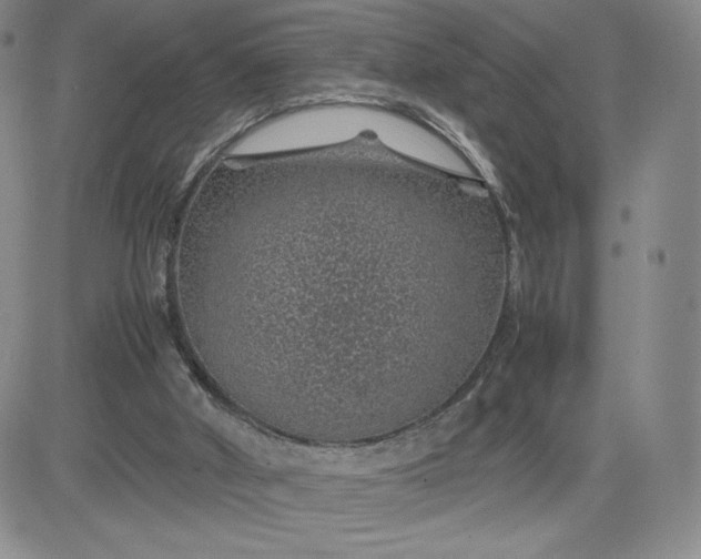 X0000083580010200702231707