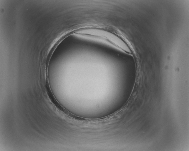 X0000083580011200702231707