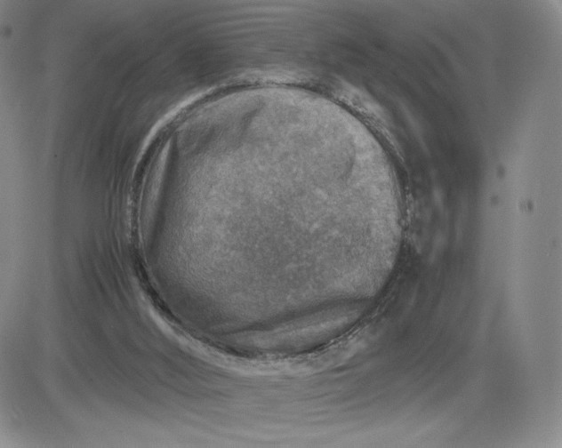 X0000083580012200702231707