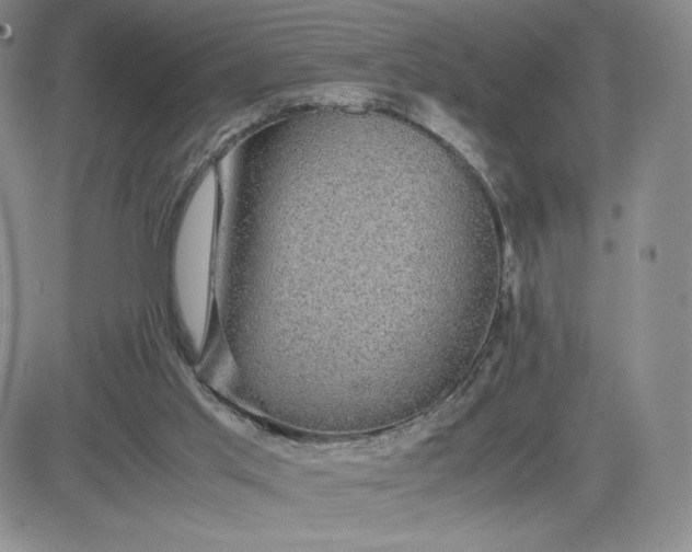 X0000083580013200702231707